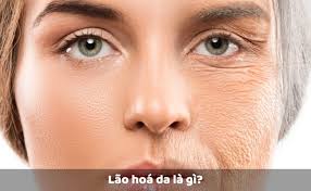Vì Sao Da Nhanh Lão Hóa